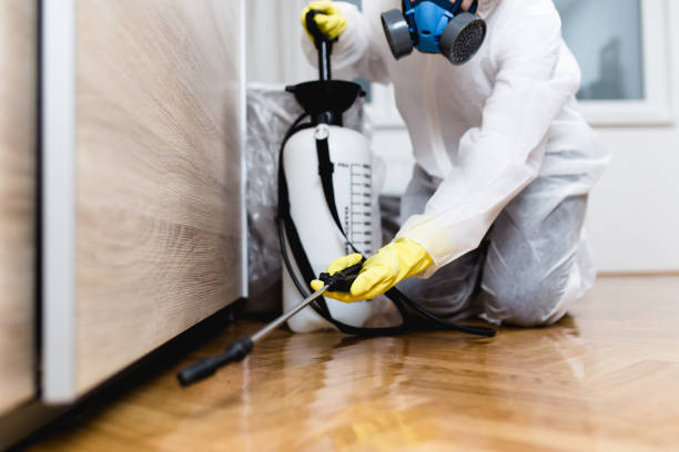 Best Rat Extermination Near Me  in Vandergrift, PA