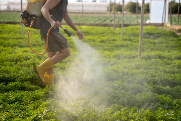 Best Local Pest Control Services  in Vandergrift, PA