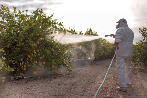 Best Best Pest Control Companies  in Vandergrift, PA