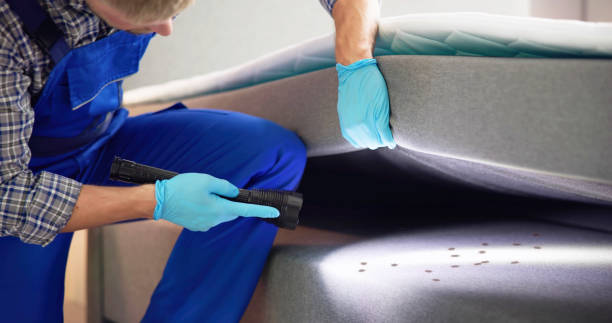Wasp Removal Services in Vandergrift, PA
