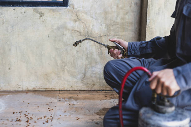 Pest Control for Restaurants in Vandergrift, PA